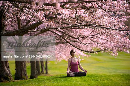 Femme en position du lotus sous l'arbre de la cerise