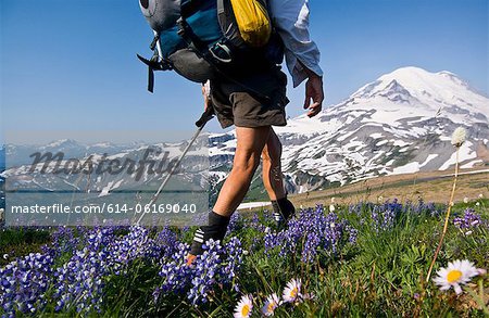 Female backpacker on Cowlitz Divide, Mount Rainier National Park, Washington, USA