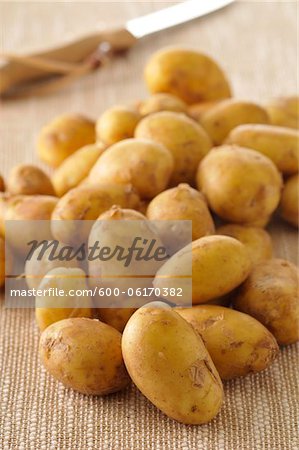 Gros plan des pommes de terre
