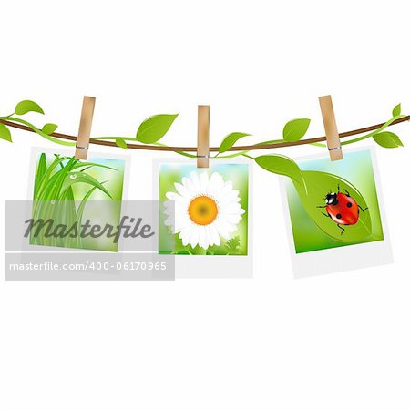 Summer Photos With Clothespins, Isolated On White Background, Vector Illustration
