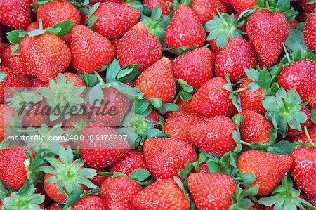 Fresh Strawberry closeup.