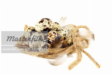 Colourful eggs in nest on a white background.