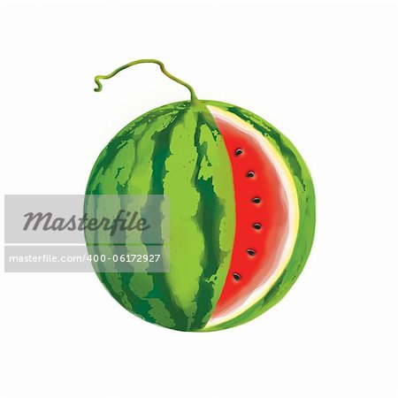 illustration of a watermelon with clipping path