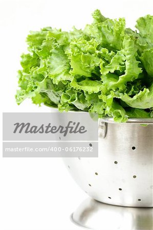 green lettuce in metal colander on a white background