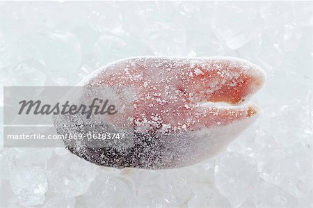 Frozen salmon steak