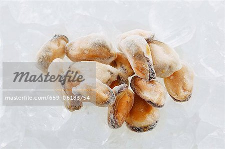 Frozen mussels without their shells
