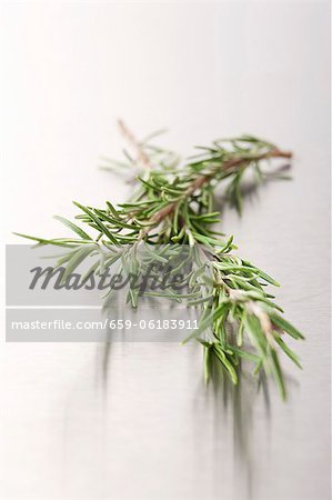 Rosemary on a metal surface