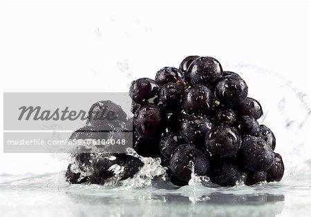 Red grapes in water