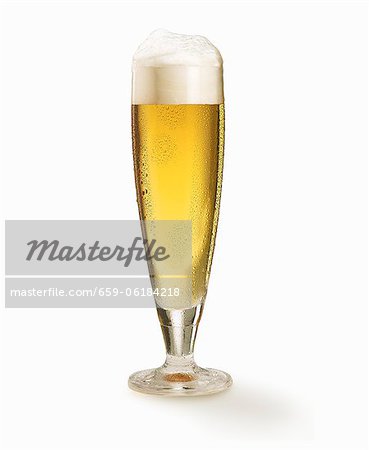 A glass of lager A glass of lager