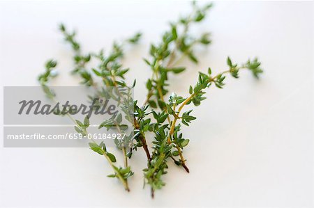 Thym (gros plan) Thym (gros plan)