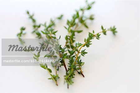 Thyme (close-up)