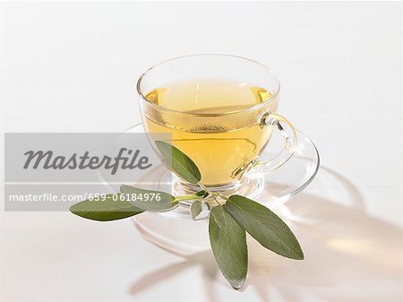 Sage tea in a glass cup