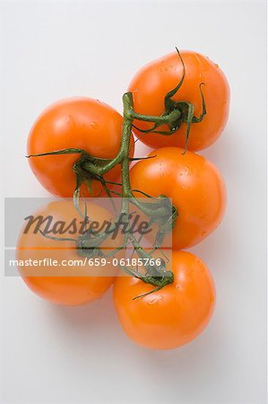Yellow vine tomatoes