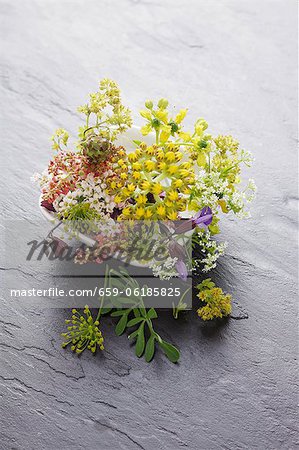 Lattich-Blumen