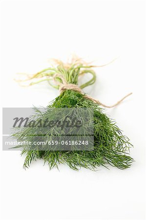 Un bouquet d'aneth frais Un bouquet d'aneth frais