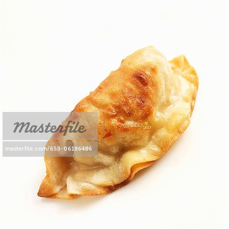 One Potsticker on a White Background