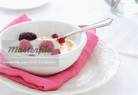 Bowl of Organic Yogurt with Cranberries, Raspberries, Blackberries and Agave Syrup