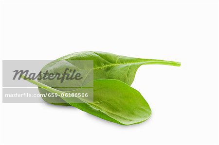 Two Baby Spinach Leaves on a White Background Two Baby Spinach Leaves on a White Background