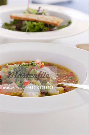 Fish soup with vegetables (France)