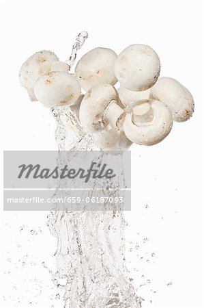 Mushrooms and a splash of water