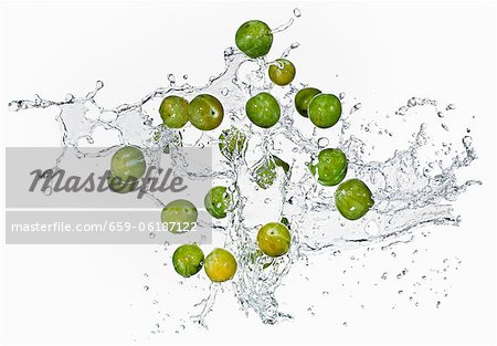 Mirabelles with a water splash