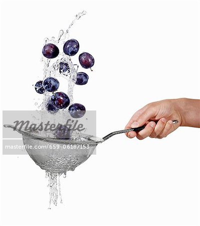 Laver les prunes dans une passoire