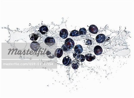 Prunes avec un spalsh de l'eau Prunes avec un spalsh de l'eau