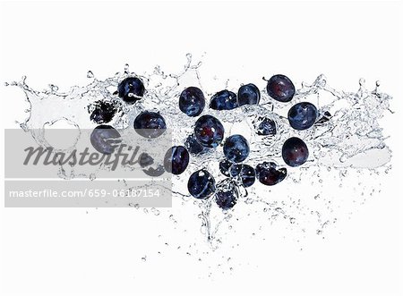 Prunes avec un spalsh de l'eau