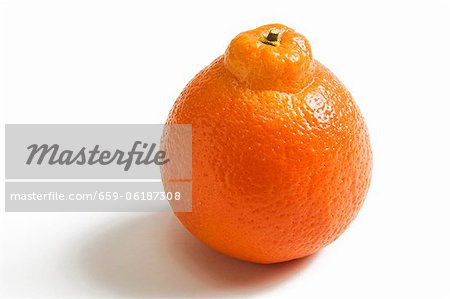 One Whole Navel Orange on a White Background