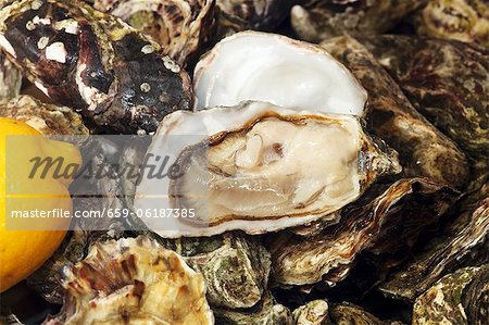 Fresh Irish oysters with lemon (close-up)