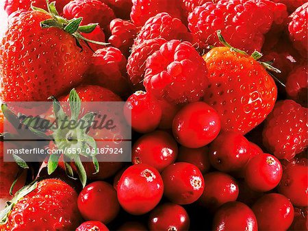 Erdbeeren, Himbeeren und Preiselbeeren (füllt den Bildschirm)