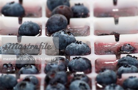 Ice cubes with blueberries in an ice cube tray Ice cubes with blueberries in an ice cube tray
