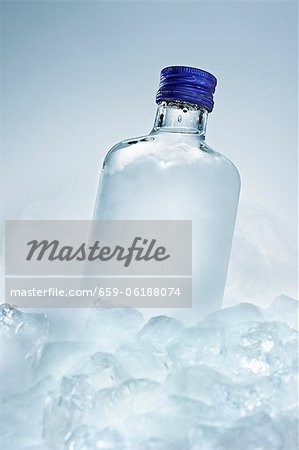 Wodka-Flasche zwischen Eiswürfel