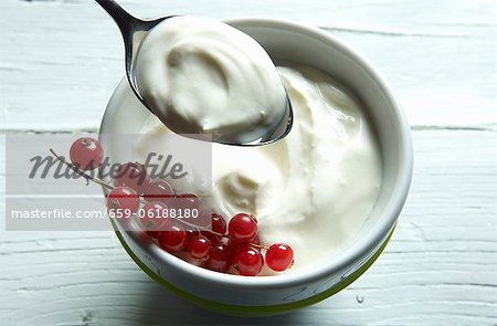 Eine Schüssel und einen Löffel Joghurt mit frischen roten Johannisbeeren/Ribiseln