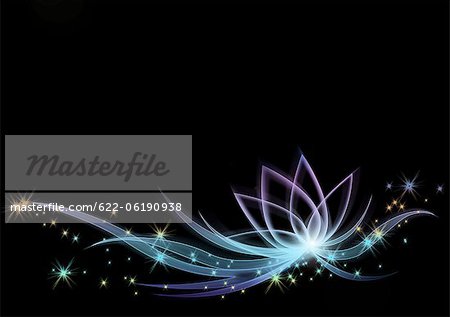 Digital zusammengesetzte Lotus mit schwarzem Hintergrund