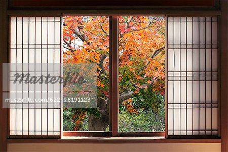Open Japanese Sliding Door With Autumn Tree In Background