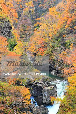 Water Flowing Through Forest In Autumn