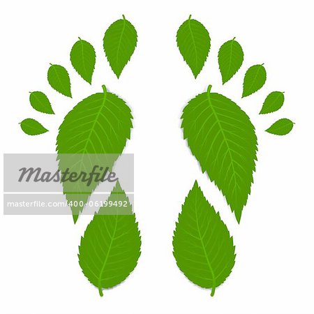 Green footprint made by leaves isolated on white with shadow. Vector illustration