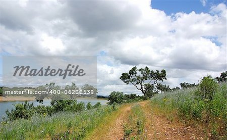 Landscape of alentejo region, Portugal