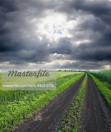 rural road in green field under cloudy sky