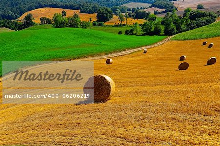 Tuscany Landscape with Many Hay Bales in the Morning