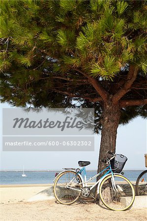Moto garée par arbre à la plage, Andernos-les-Bains, Aquitaine, France