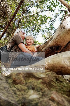 Father and son sitting up in a tree