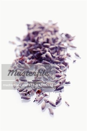 Dried lavender flowers