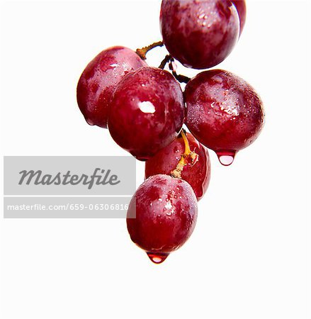 Dripping red grapes