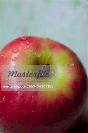 Ein Apfel mit Wassertropfen