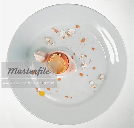Les restes d'un œuf à la coque sur une plaque Les restes d'un œuf à la coque sur une plaque