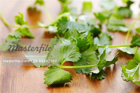 Fresh coriander on a wood background