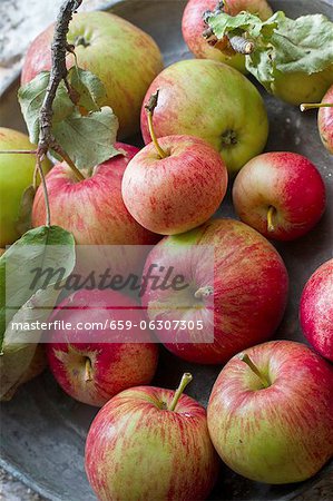 Fresh apples with twigs and leaves