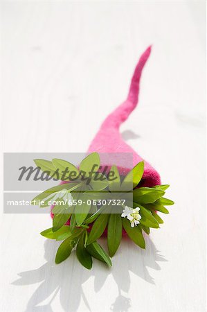 Woodruff (Galium odoratum) in a felt cornucopia Woodruff (Galium odoratum) in a felt cornucopia